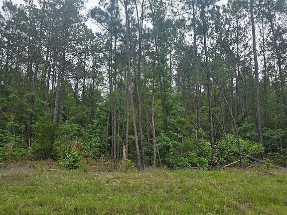 4th image of 15386 Red Hawk Rd Lot 21