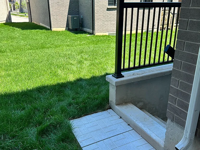 3343 Preserve Dr #BASEMENT — Photo 4