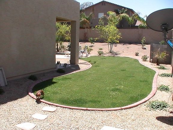 back yard/grass area