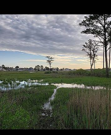 3rd image of 31001 Oakwood Rd