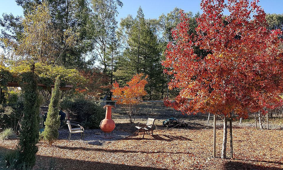2nd image of 1880 Schaeffer Rd