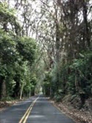 1st image of Kahana Dr Lot 23D3