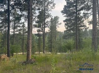 11814 Other, Deadwood, SD 57732
