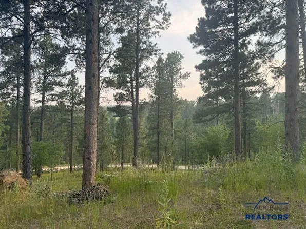 11814 Other, Deadwood, SD 57732
