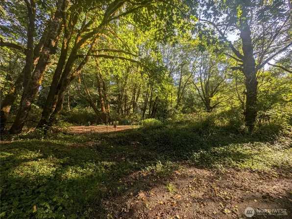 999 Whitcomb-Dimmel Road, Forks, WA 98331