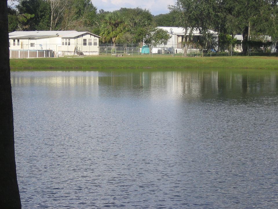 View from back porch