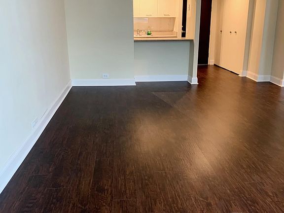 3rd image of 535 N Michigan Ave APT 2806