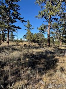 2225 Montcalm Dr, Livermore, CO, 80536