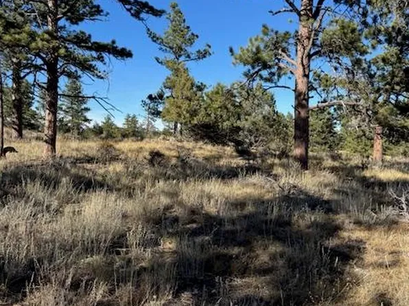 2225 Montcalm Dr, Livermore, CO 80536