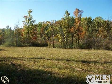 3890 County Line (8).JPG