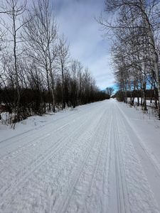 County Road 66 NE, Eagle Bend, MN, 56446