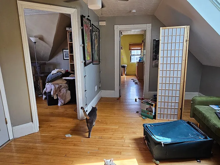 3 Aldie St #5 — Photo 13