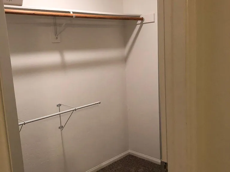 Downstairs bedroom walk-in closet
