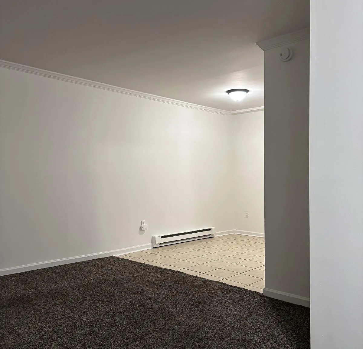 2 bed, 1000 sqft, $1,595 — Photo 3