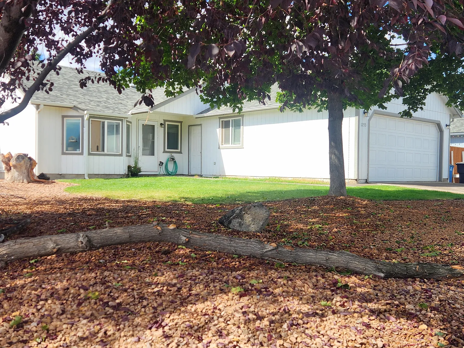3 bed, 1134 sqft, $2,500 — Photo 2