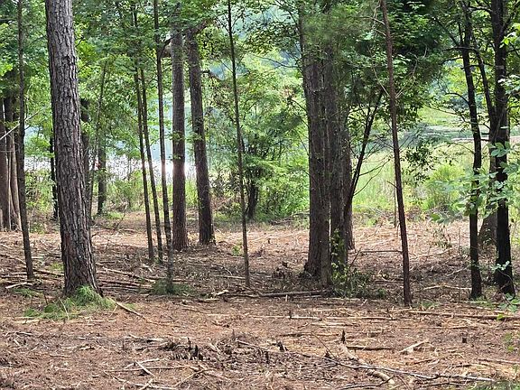 2nd image of 38 Paint Creek Overlook Ln