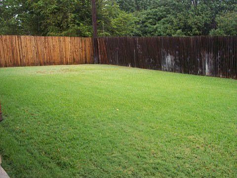 Backyard 4