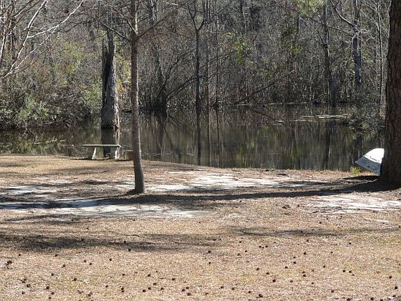 Pond in back of home