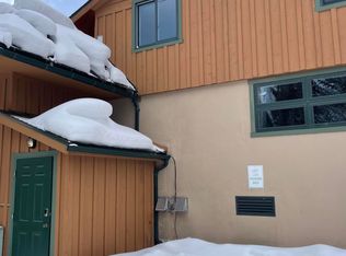 914 Waters Ave #P1, Aspen, CO 81611