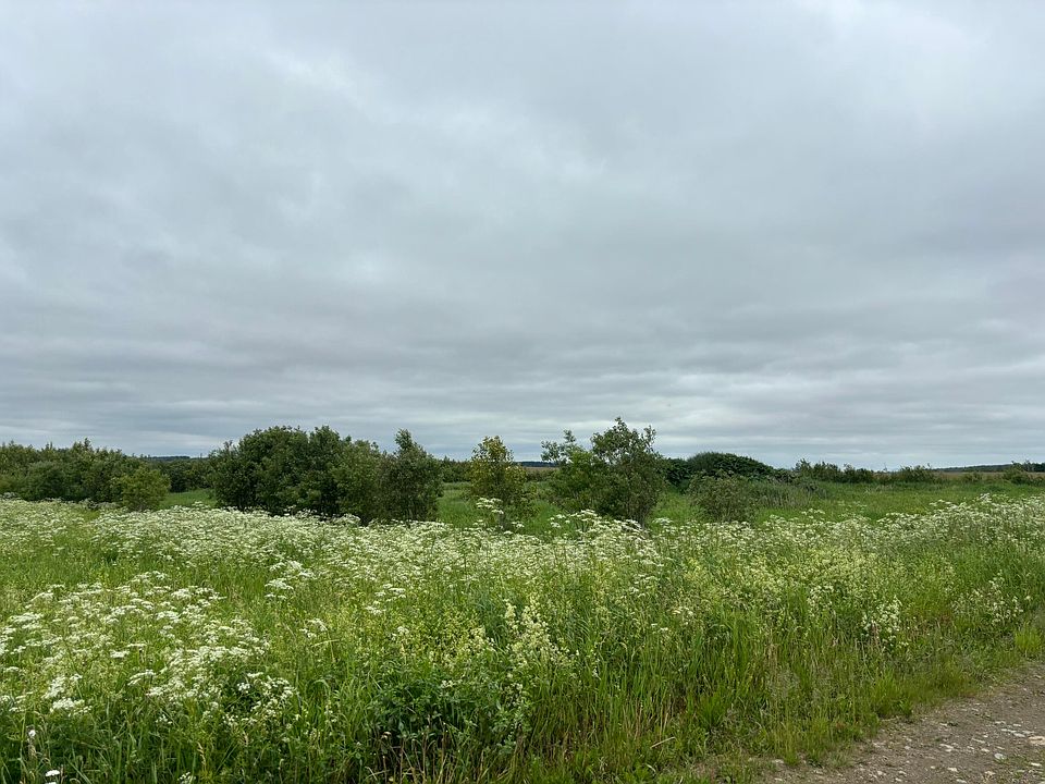 2nd image of M5L28E Presque Isle Road