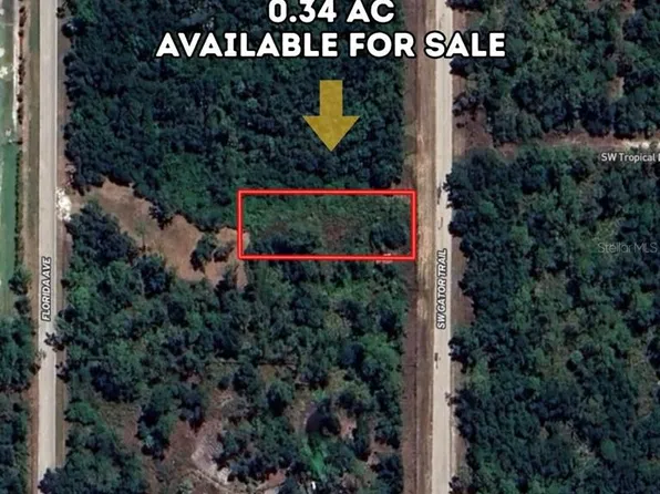 1677 SW Gator Trl Lot 12, Arcadia, FL 34266