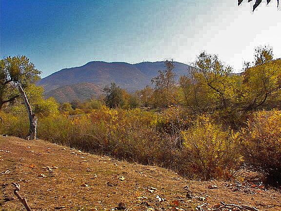 4th image of Live Oak Drive Lot 334