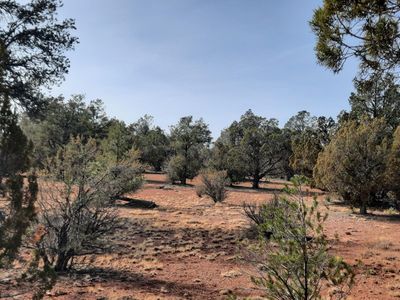 55193 N Campana Cir, Seligman, AZ, 86337