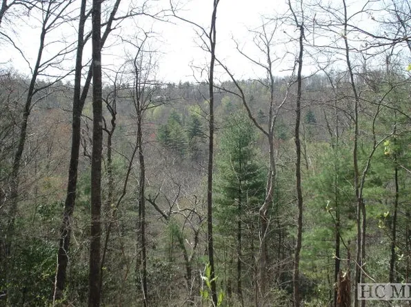 79 Parsons Vw, Cashiers, NC 28717