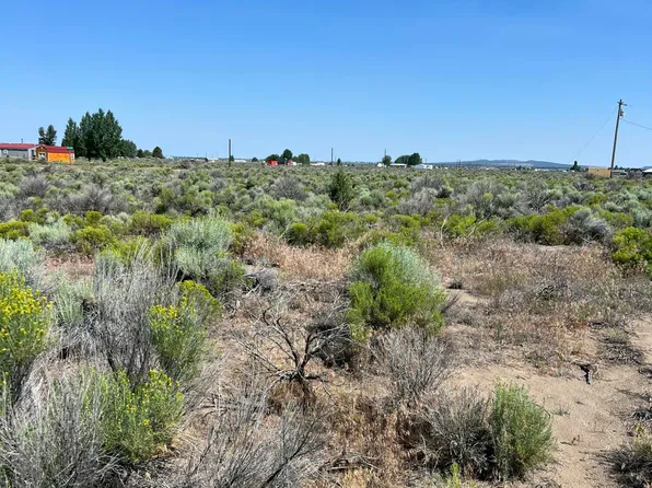 0 Larch St, Christmas Valley, OR 97641