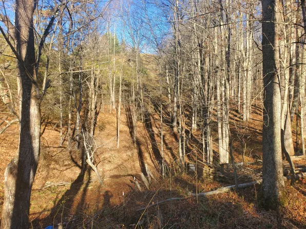 0 Miller Hollow Rd, Roan Mountain, TN 37687