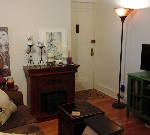 4th image of 4409 N Greenview Ave APT 1E