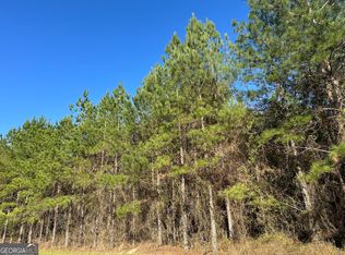 28 Mount Zion Rd, Gordon, AL 36343