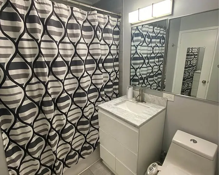 1355 N Sandburg Ter #503D — Photo 13