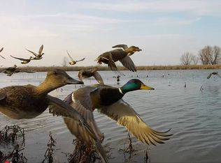 17761 Martin Ln, Stuttgart, AR 72160