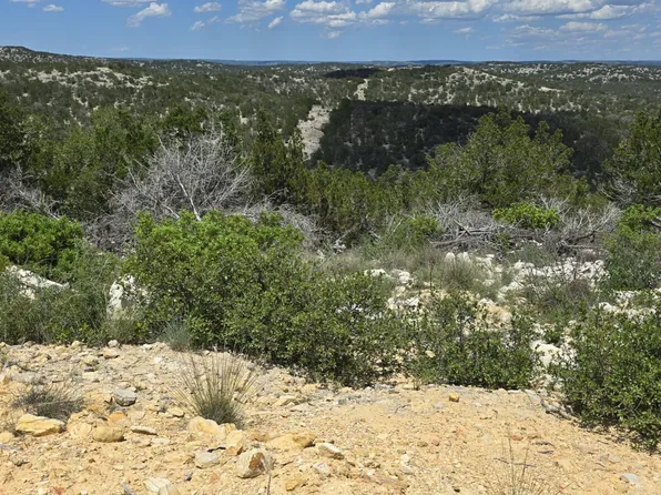 01 Wild Canyon Ranch Lot 6, Rocksprings, TX 78880