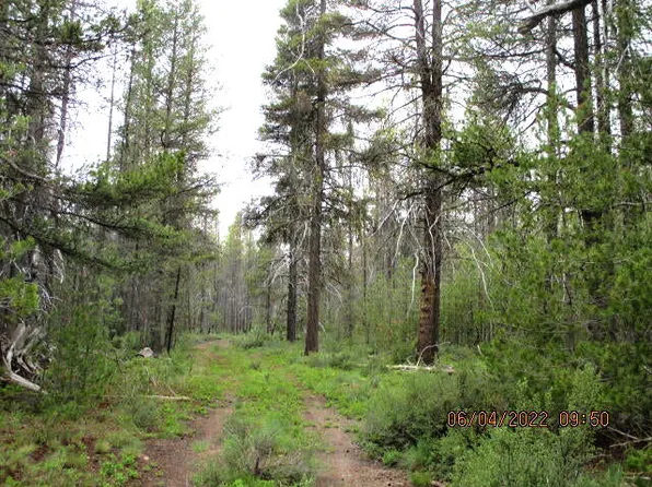 LOT 14 Cloudcap Dr, Chiloquin, OR 97624