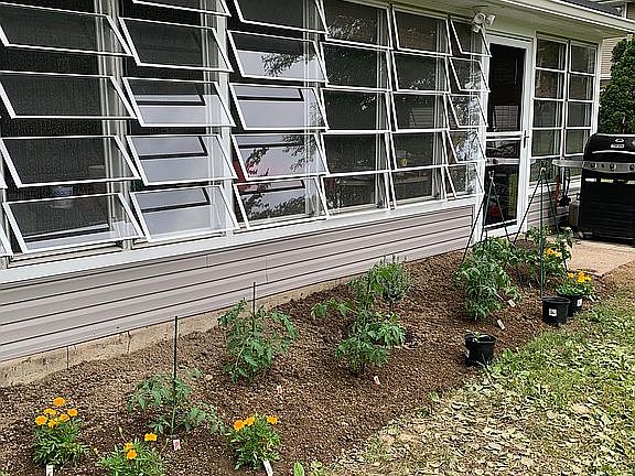 Small garden