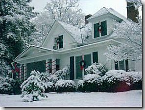 WInter view