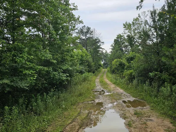 County Road 89, Danville, AL 35619