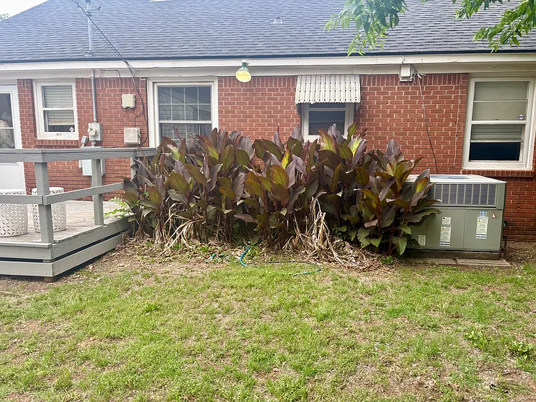 Backyard and deck.