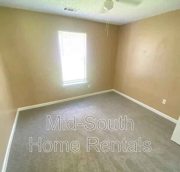 4417 Willow Springs Cv — Photo 14