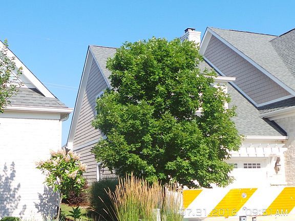 3rd image of 15810 Bethpage Trl