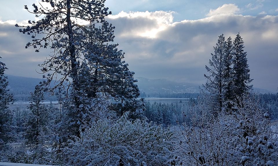 View from deck