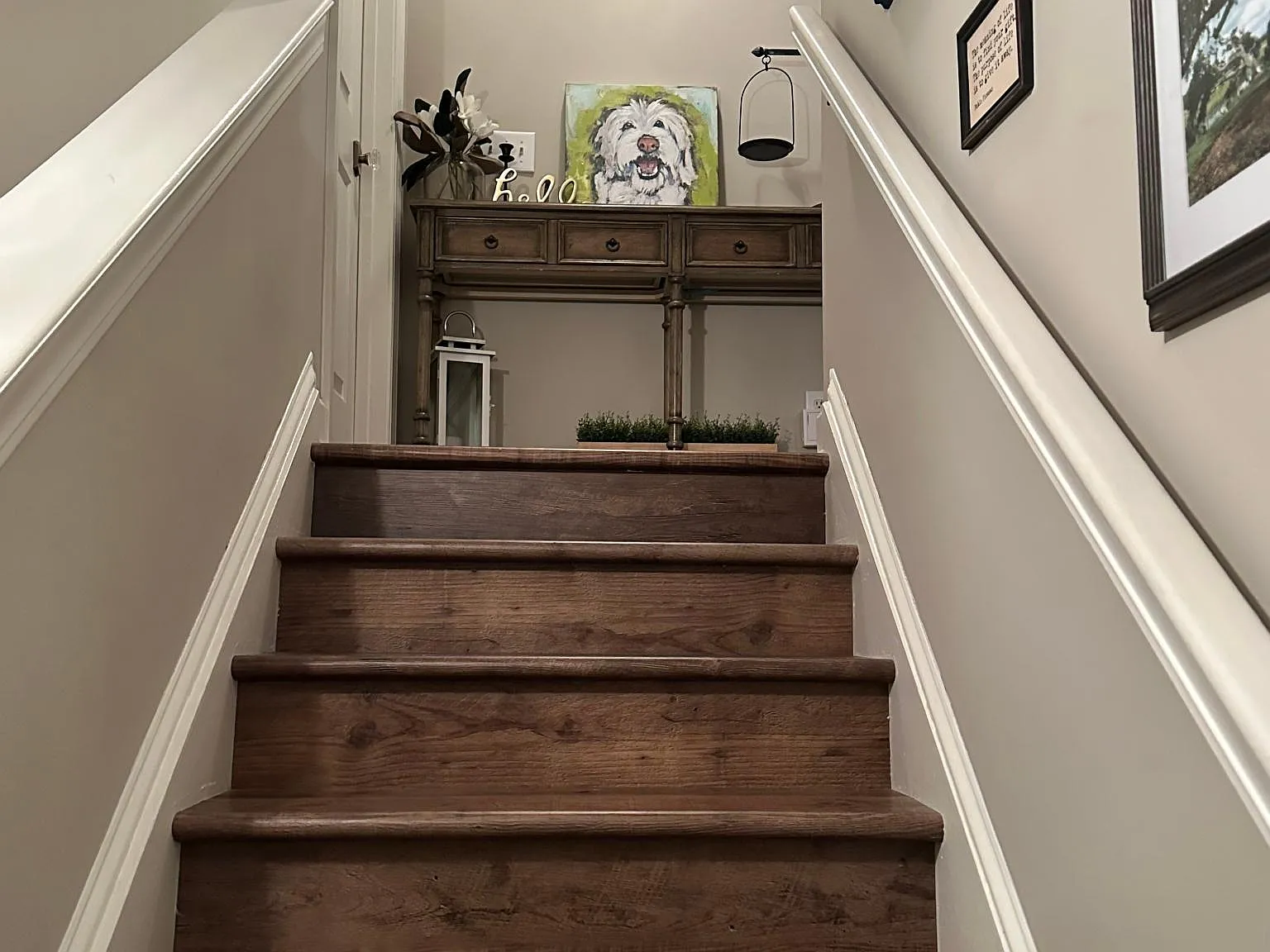 4370 Crepe Myrtle Ct — Photo 3