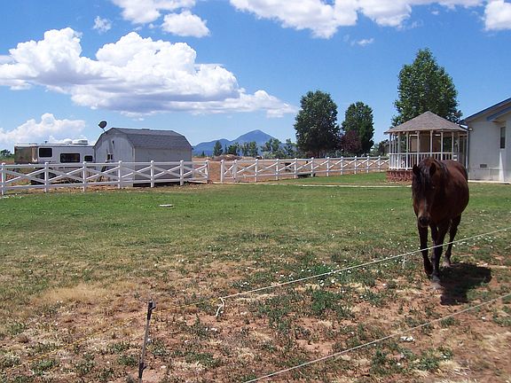 pasture 