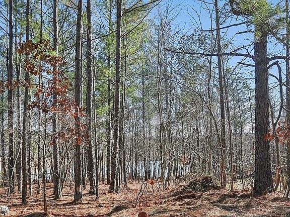 5th image of 10715 Serenbe Ln Lot 162