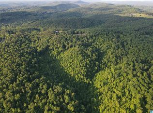 1 Goodner Mountain Rd #1, Pinson, AL 35126