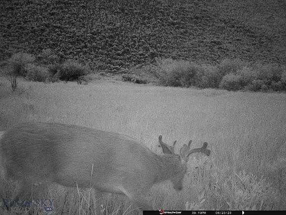 3rd image of Camp Creek Rd