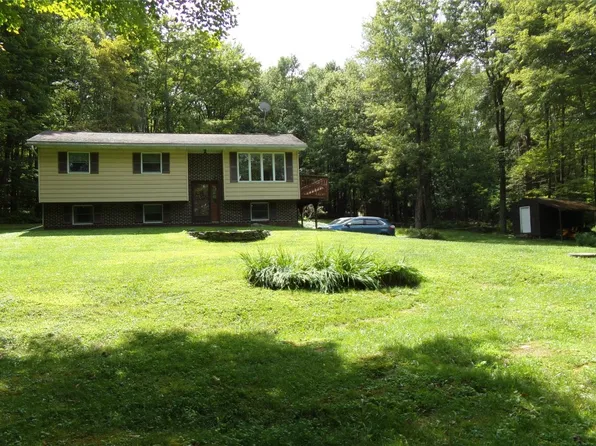 1164 Quaker Lake Rd, Brackney, PA 18812