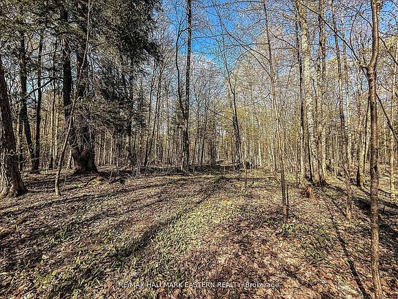 4th image of 2494 Hadlington Rd